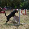 foire-haricots 2011-09-17et18